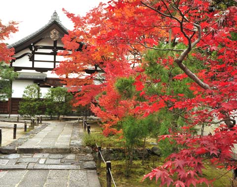 天龍寺