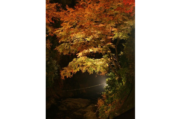 養老渓谷