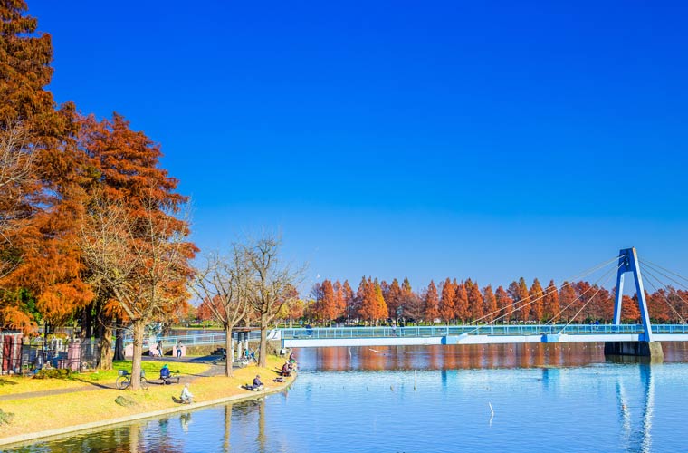 水元公園