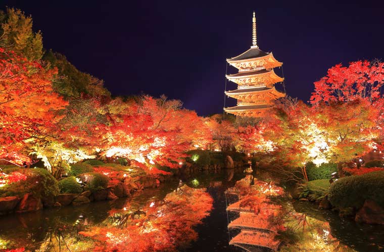東寺
