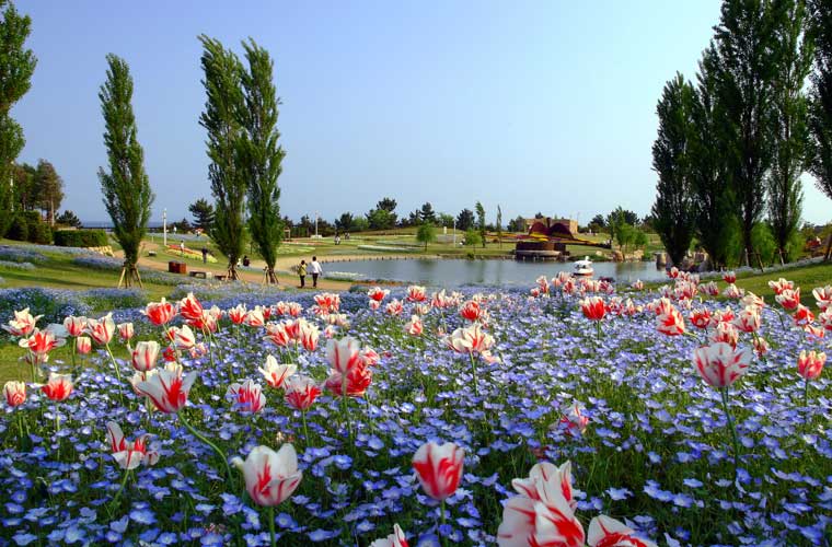 国営明石海峡公園