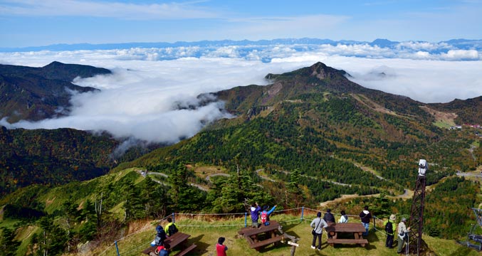 横手山からの雲海