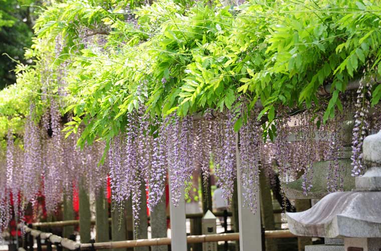 三大神社