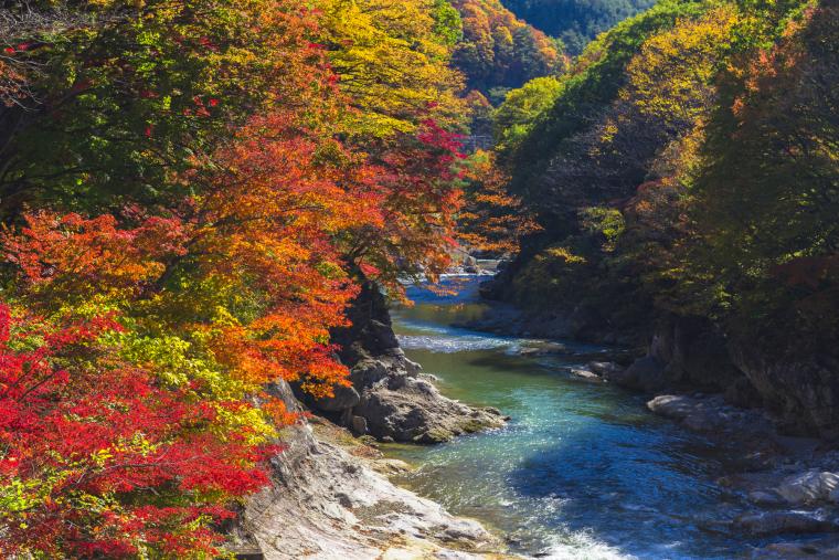 水上温泉郷　紅葉（諏訪峡）