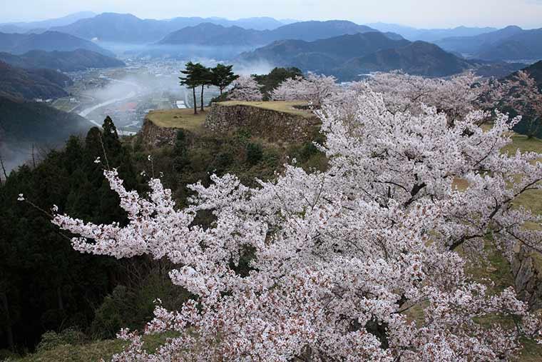 兵庫県朝来市  竹田城跡