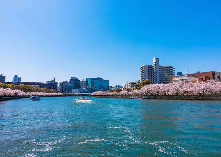 大阪府大阪市  大川の桜並木