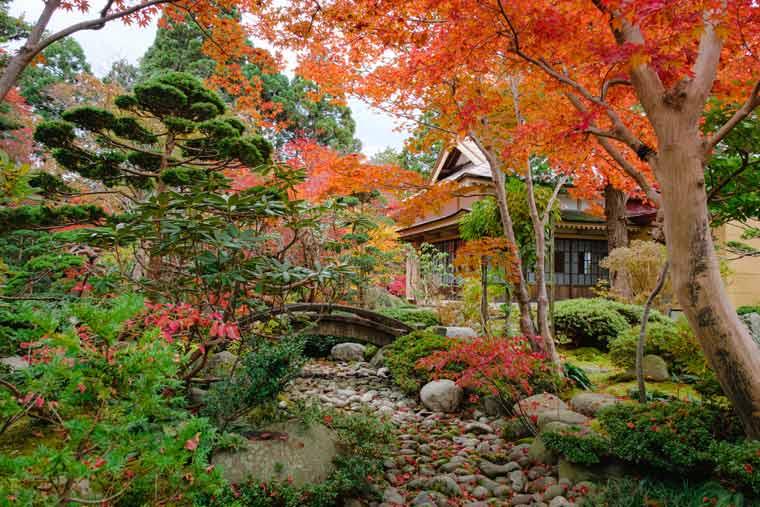 梅村庭園