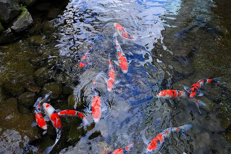 ウェスティンホテル大阪 庭園