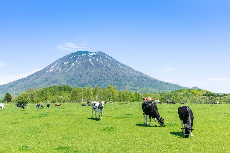 北海道 ニセコ