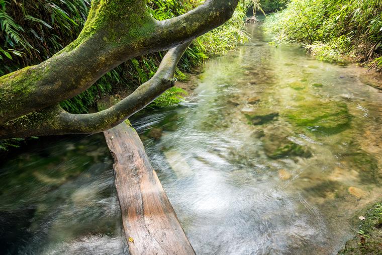 大出水の湧水