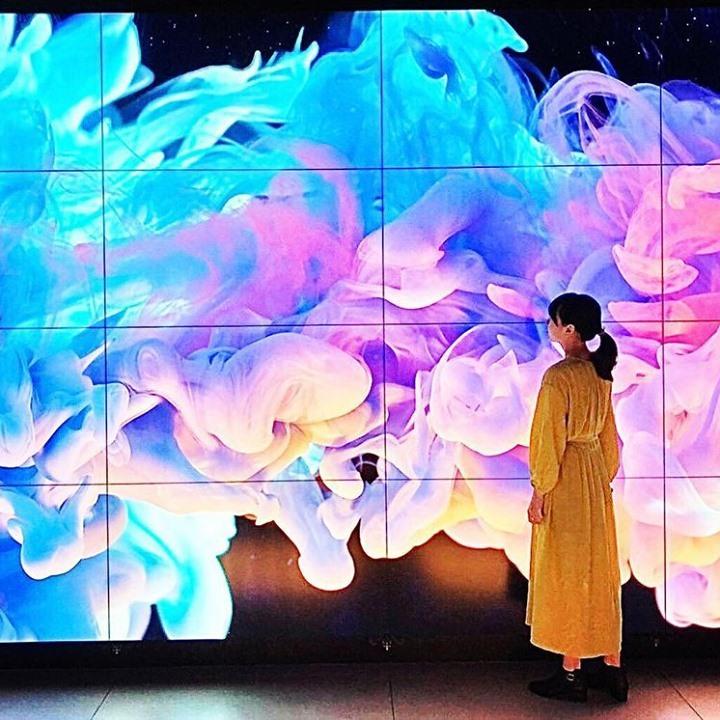 昭和記念公園