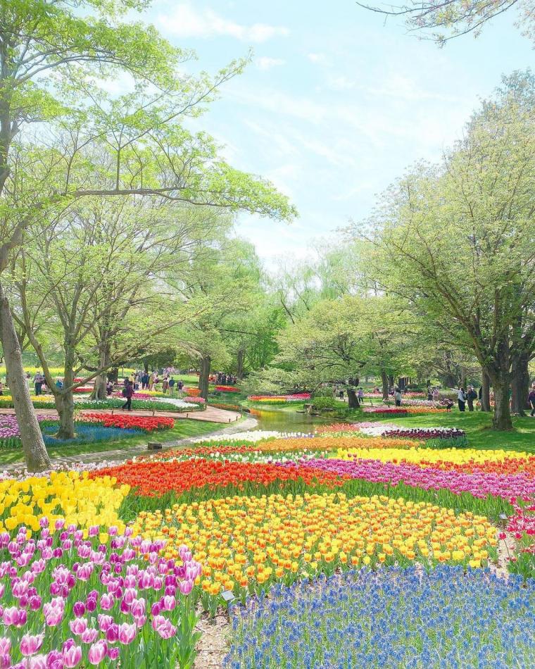 国立昭和記念公園