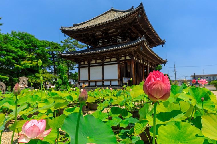 喜光寺