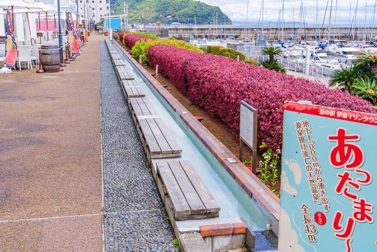 海&山のいいトコどり！電車・バスで巡る静岡・伊東温泉の1泊２日 おすすめモデルコース