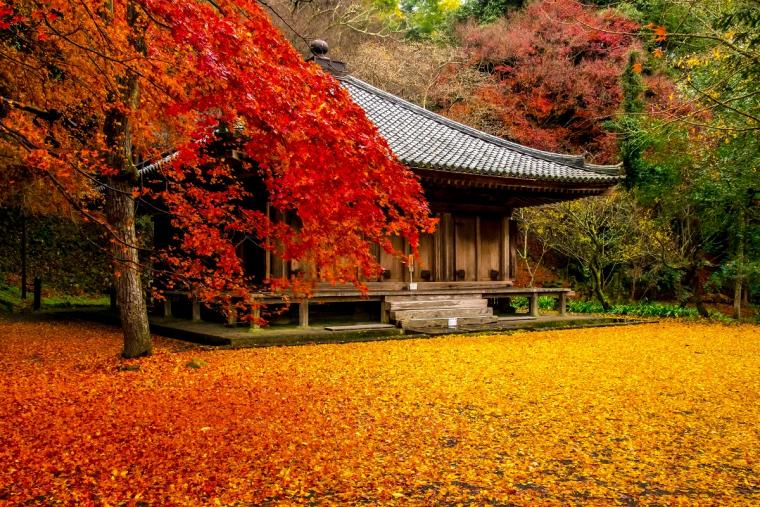 富貴寺