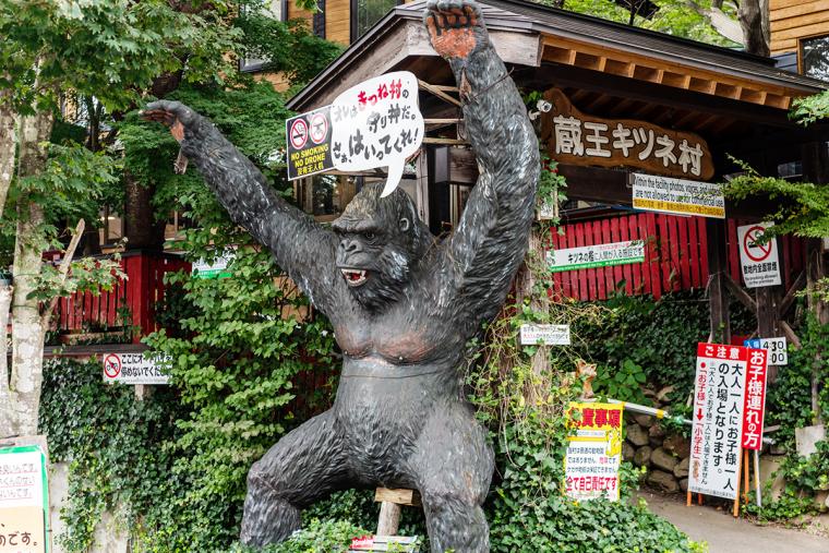 宮城蔵王キツネ村