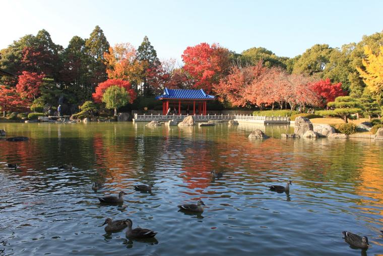 大仙公園 日本庭園