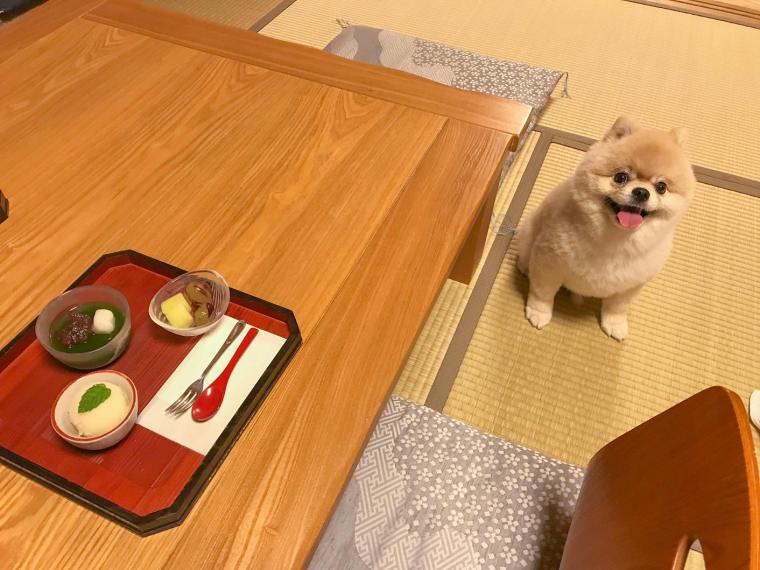 屋島の宿　桃太郎