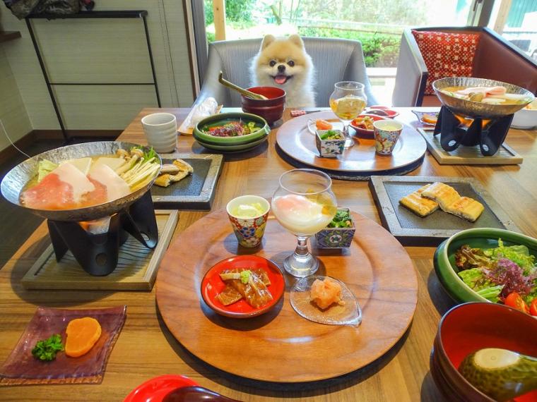 下湯原温泉　わんこと泊まれる宿　わんこあん