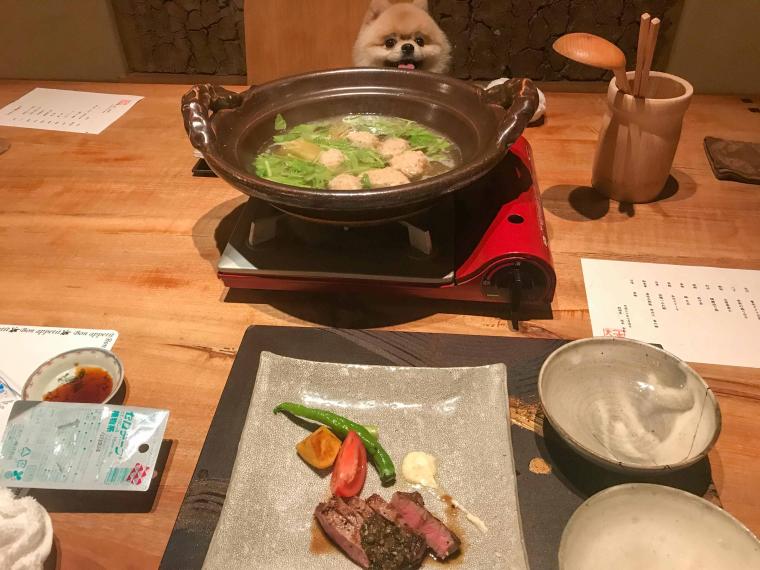 由布院温泉 湯富里の宿 一壷天