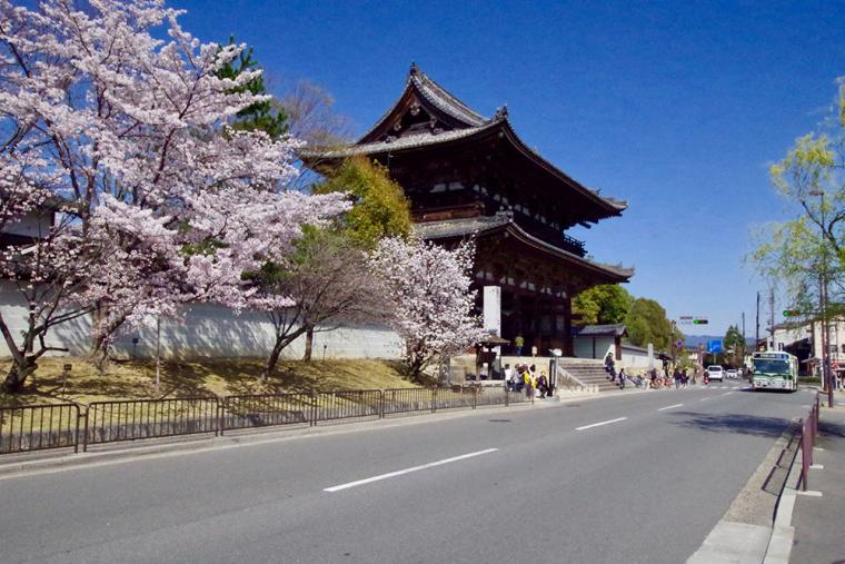 きぬかけの路