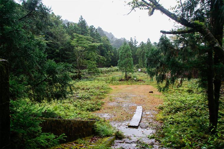 屋久島 縄文杉トレッキング