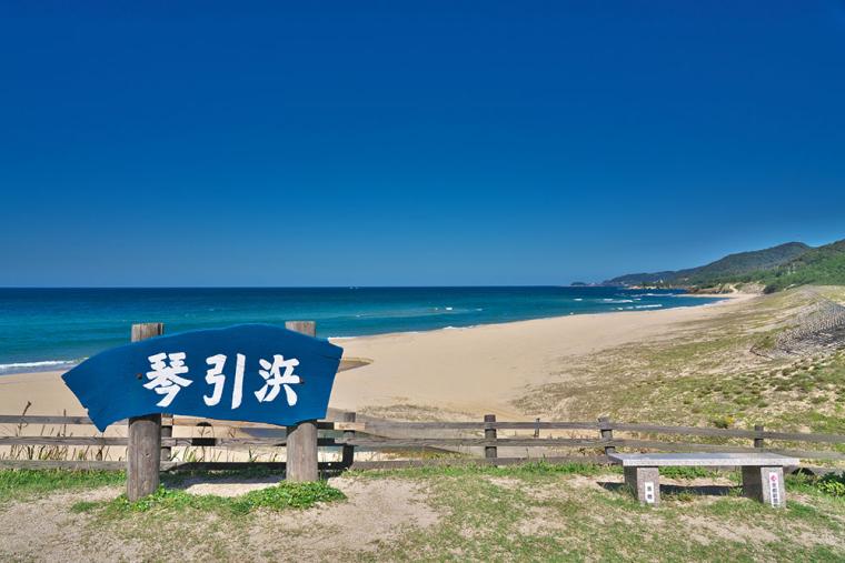 琴引浜