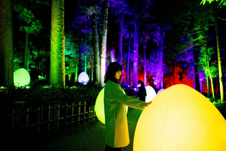 「自立しつつも呼応する生命と呼応する大杉森」