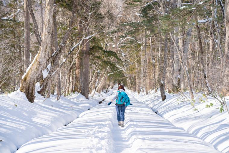 戸隠の雪