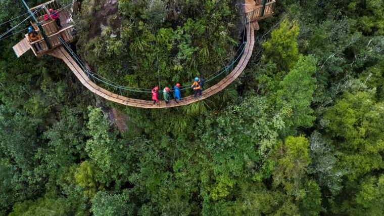 ニュージーランド　原生林でジップラインも体験できるキャノピーツアー ©Canopy Tours