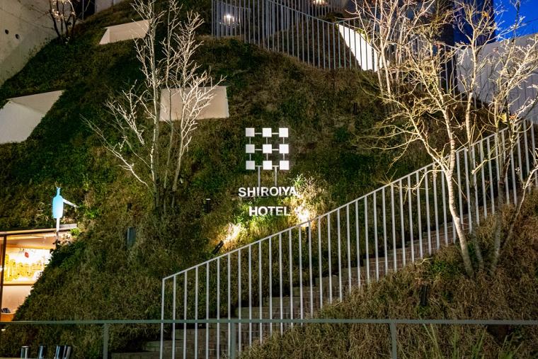 白井屋ホテルとは