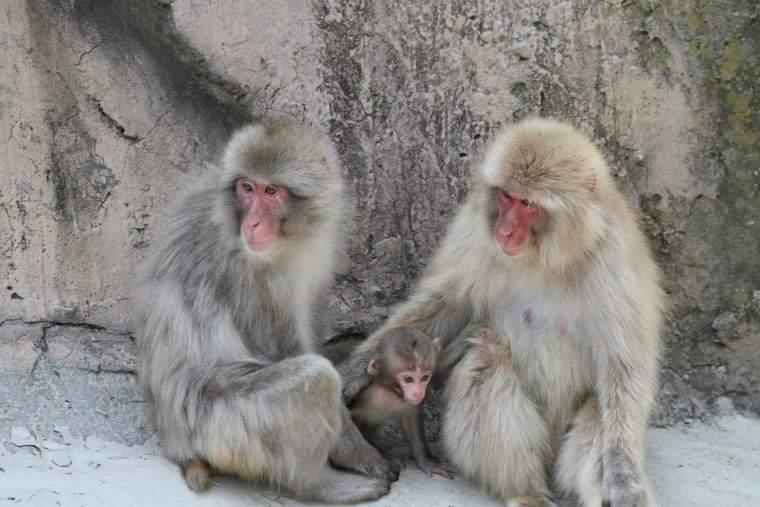 上野動物園