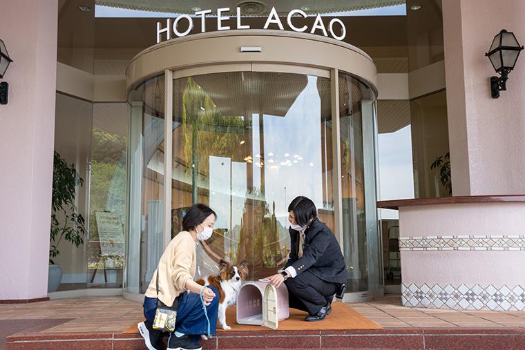 HOTEL ACAO　ドッグフレンドリールーム