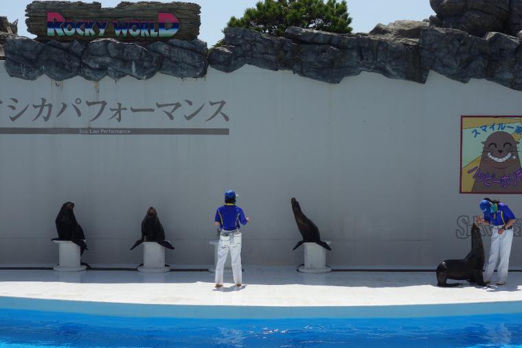 アシカショー