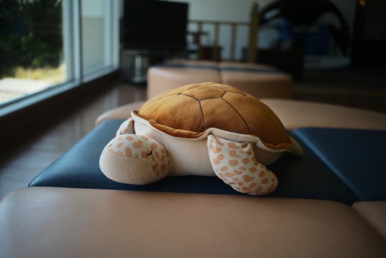 アカウミガメの抱き枕