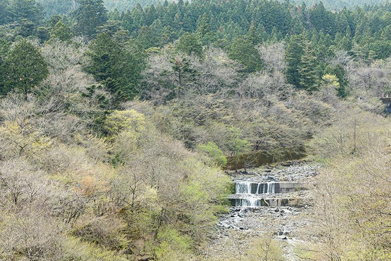 シェルターガーデン日光　稲荷川