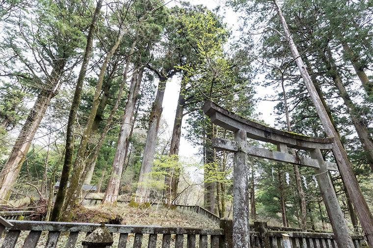 シェルターガーデン日光　瀧尾神社