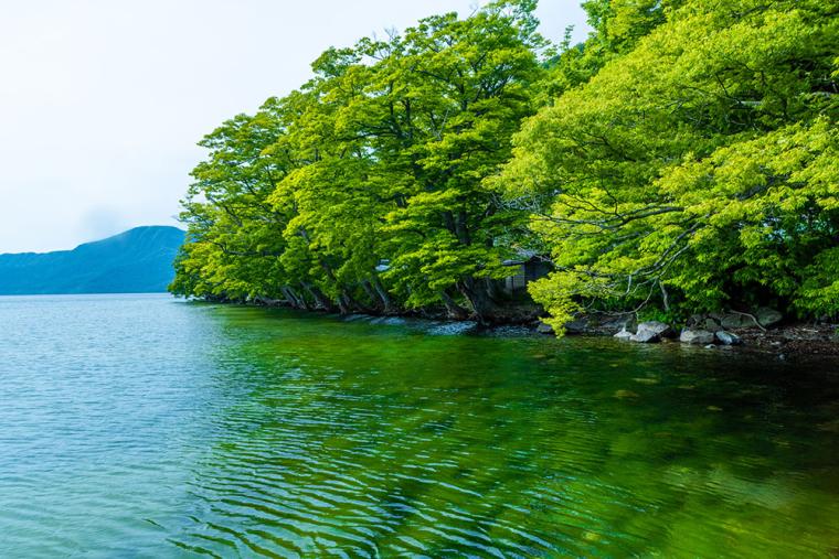 十和田湖