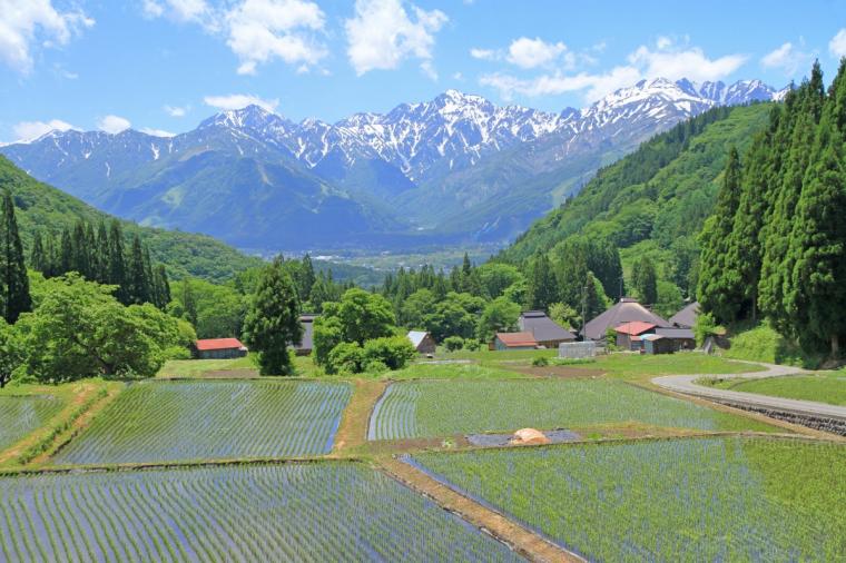 青鬼の棚田