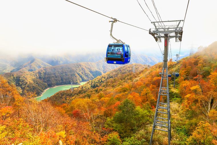 山頂駅から眺める紅葉と二居湖