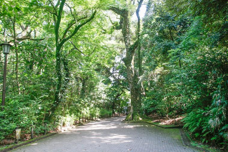 城山（遊歩道）
