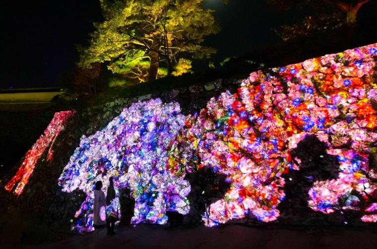 チームラボ《石垣に住まう花と共に生きる動物達》（Ｃ）チームラボ ※参考画像