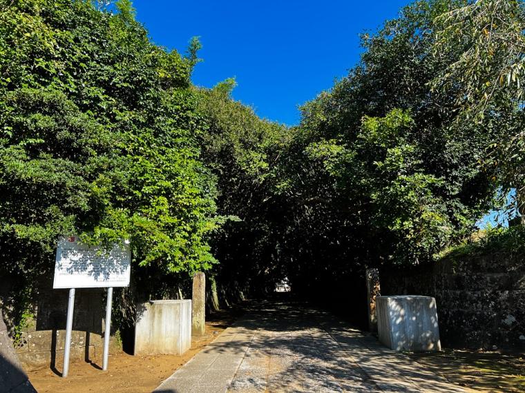 凛とした空気が流れる「酒列磯前神社」