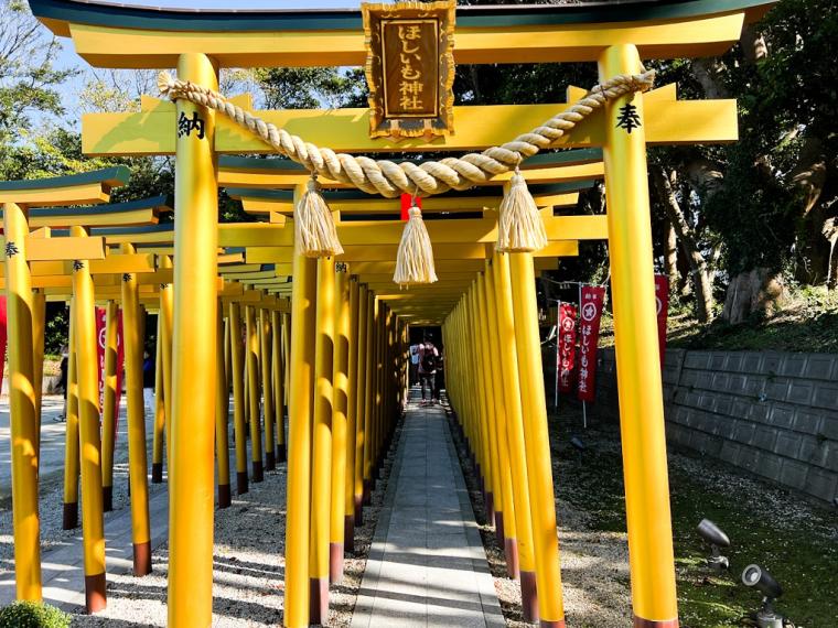 欲しいものが手に入る「ほしいも神社」