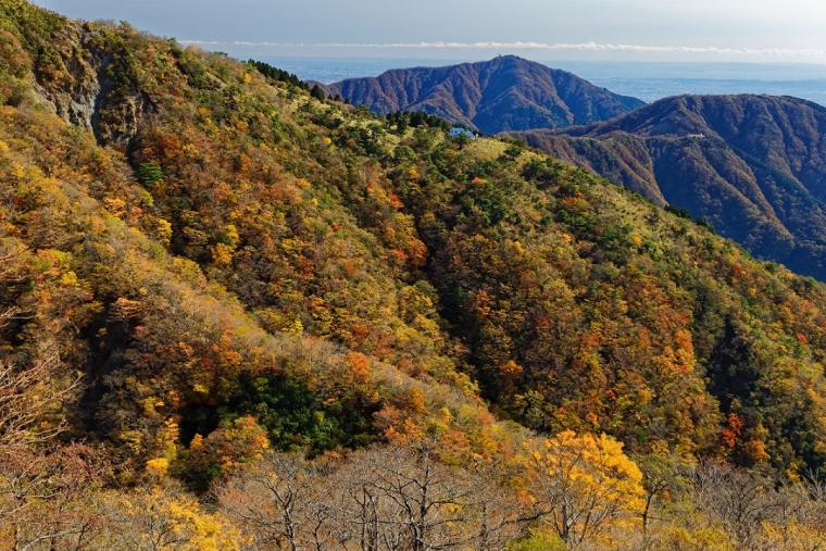 大山（おおやま）