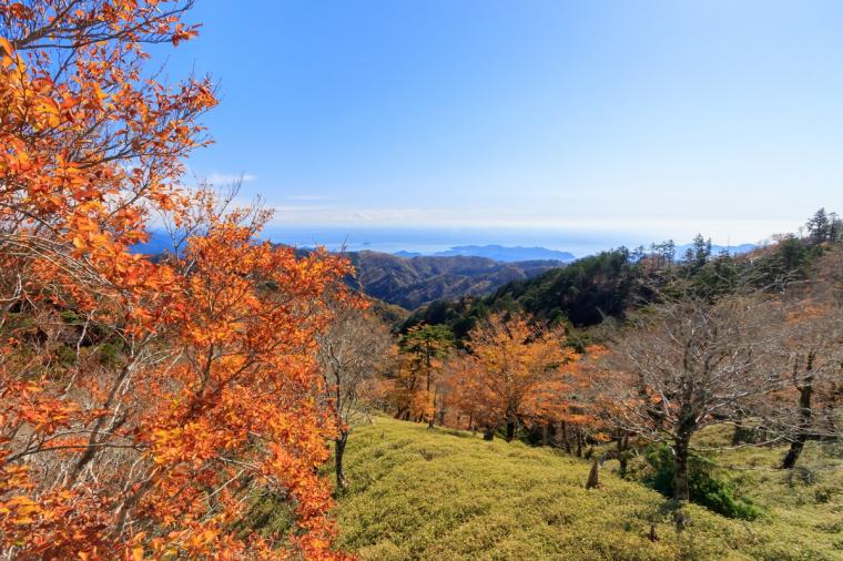 大台ヶ原山（おおだいがはらやま）
