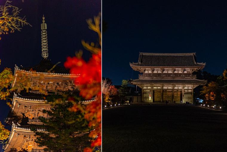 仁和寺 紅葉ライトアップ