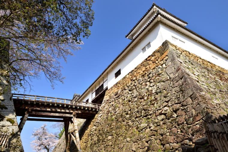 彦根城