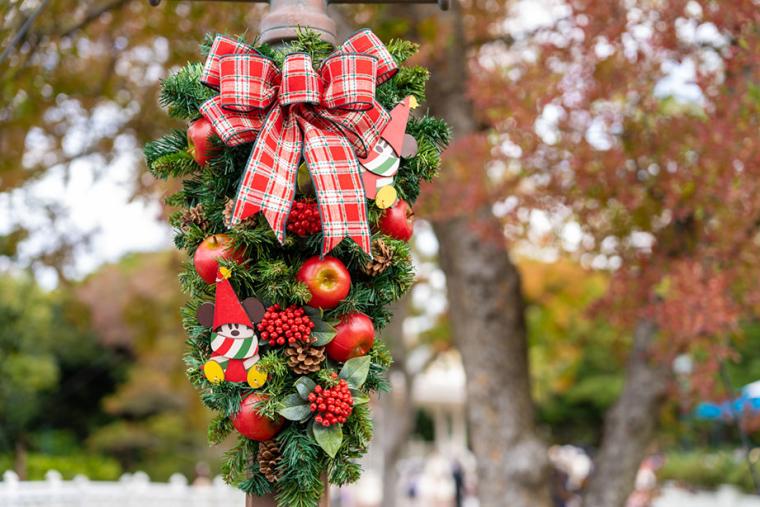 東京ディズニーランドクリスマスの楽しみ方