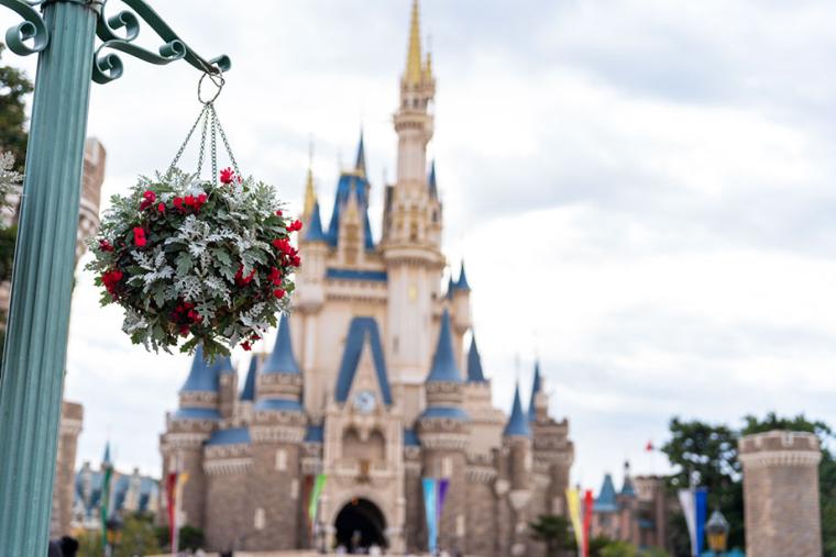 東京ディズニーランドクリスマスの楽しみ方